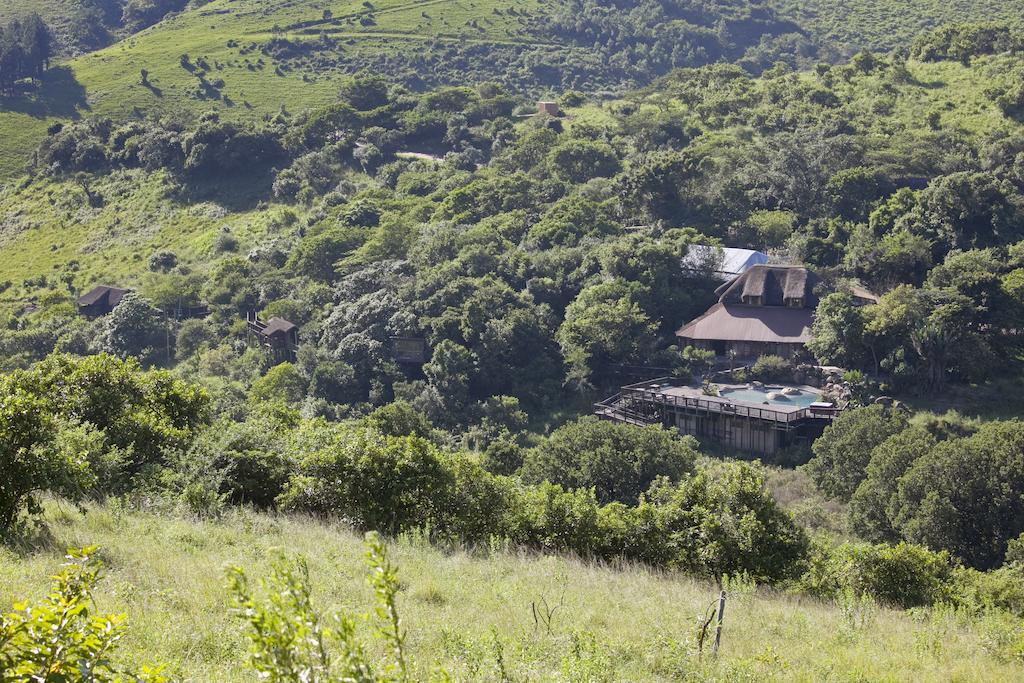 Insingizi Lodge Mid Illovo Exterior photo