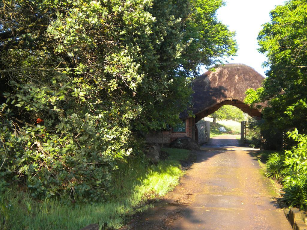 Insingizi Lodge Mid Illovo Exterior photo