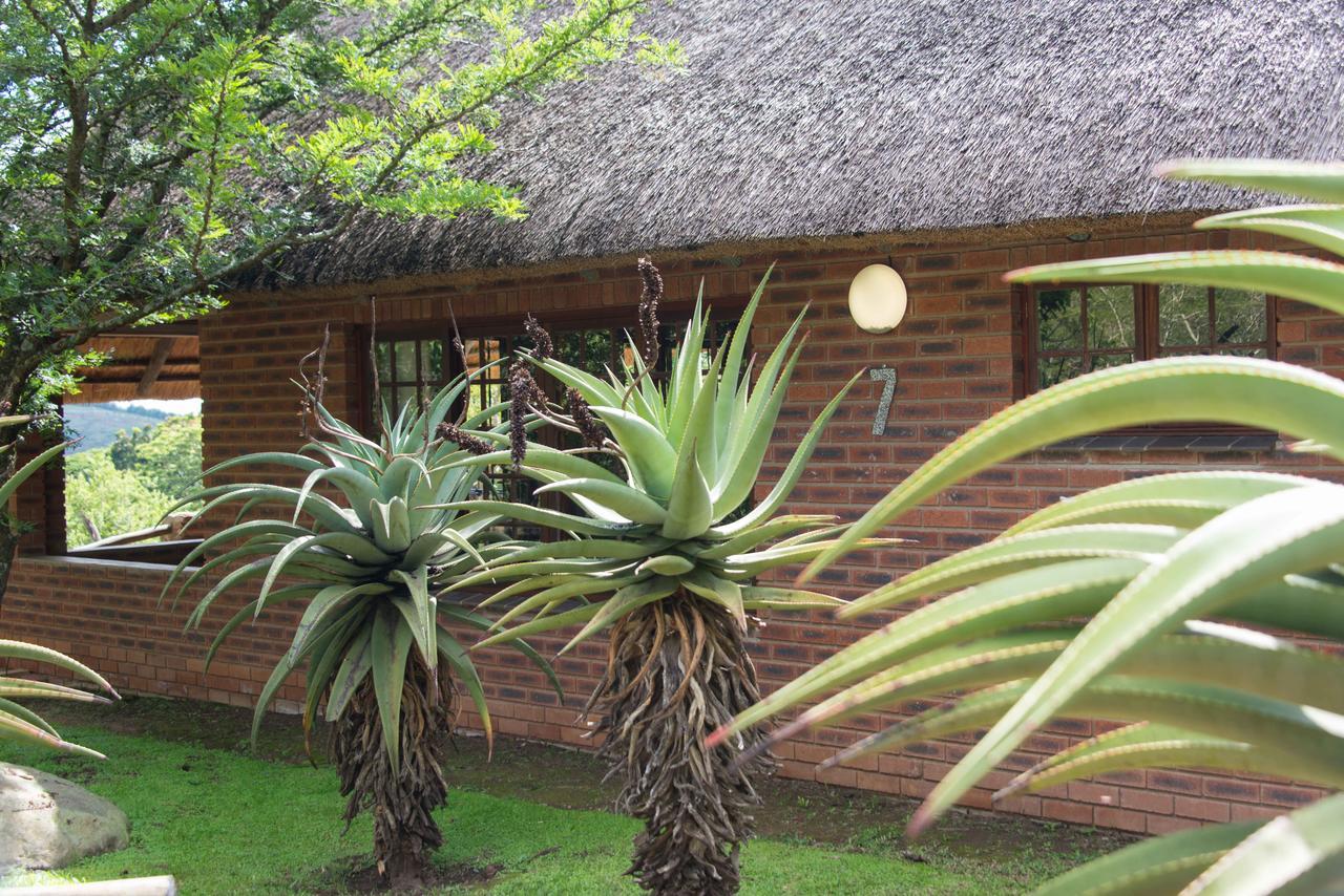 Insingizi Lodge Mid Illovo Exterior photo