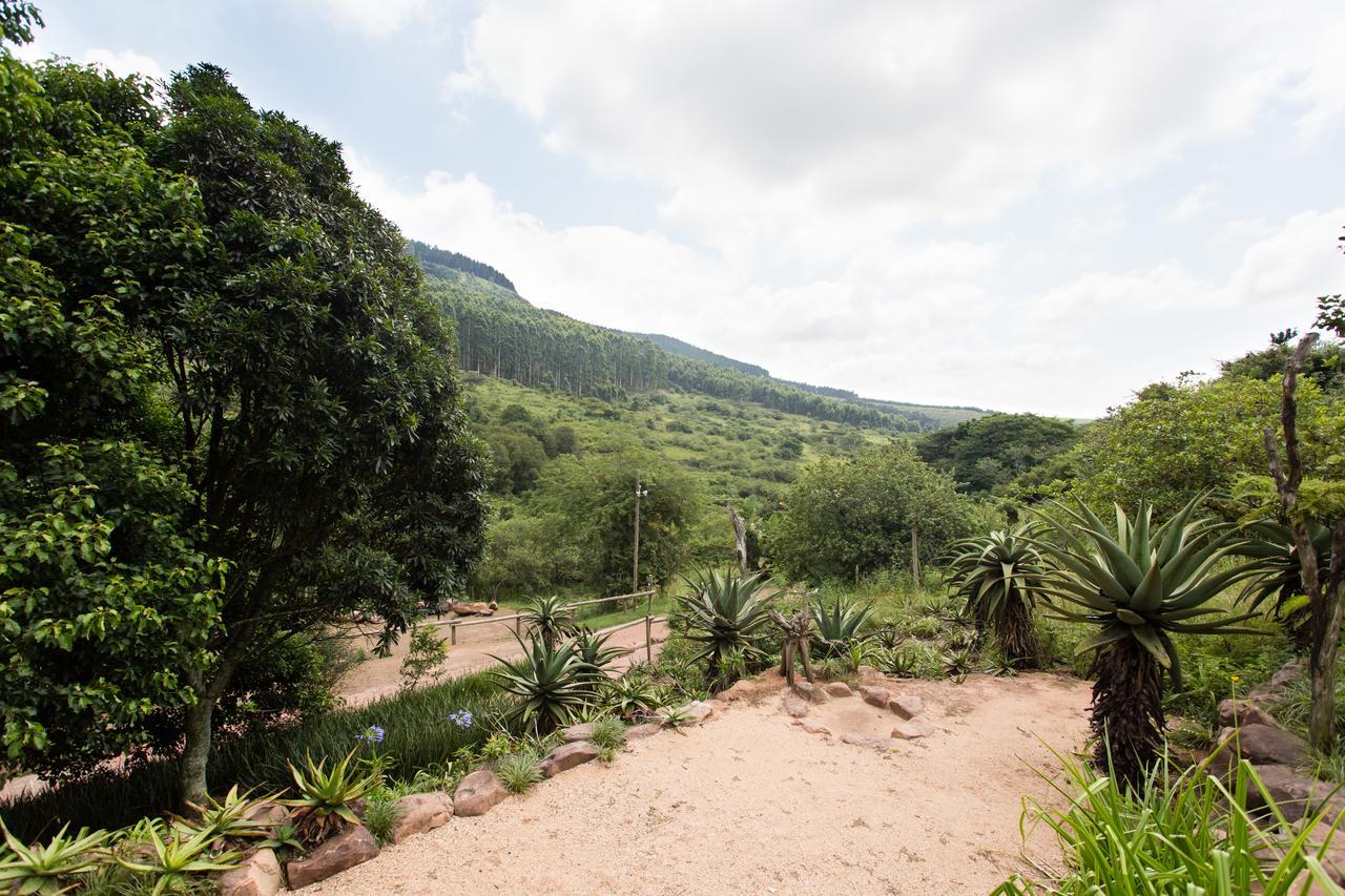 Insingizi Lodge Mid Illovo Exterior photo