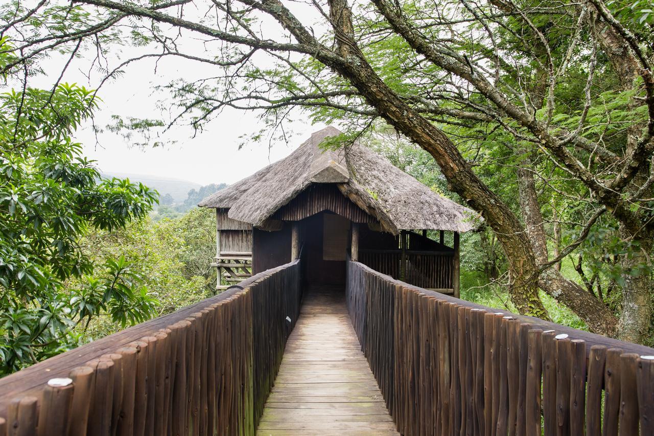 Insingizi Lodge Mid Illovo Exterior photo