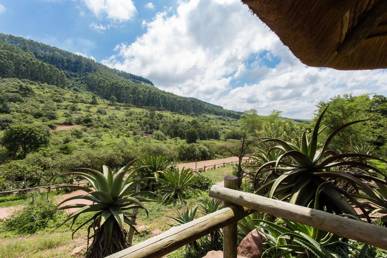 Insingizi Lodge Mid Illovo Exterior photo